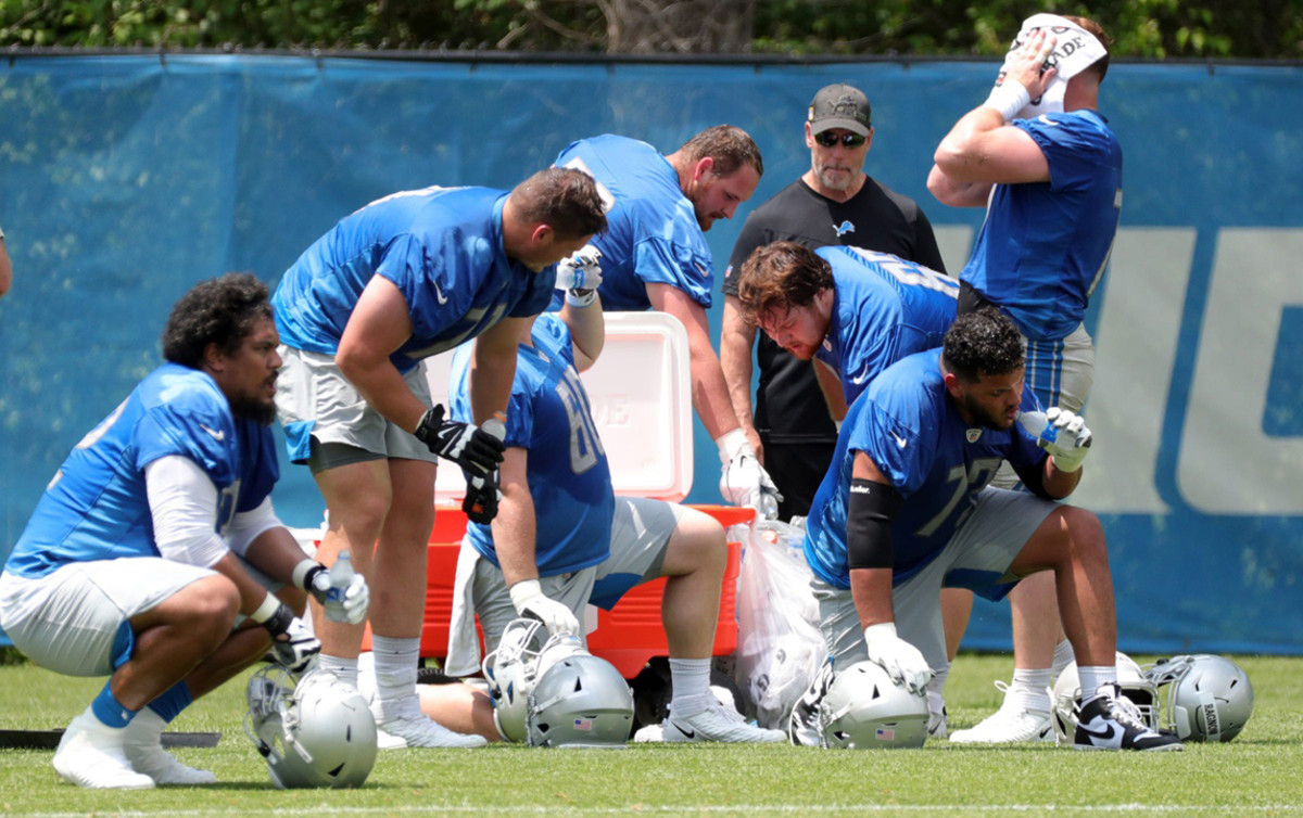 lions5